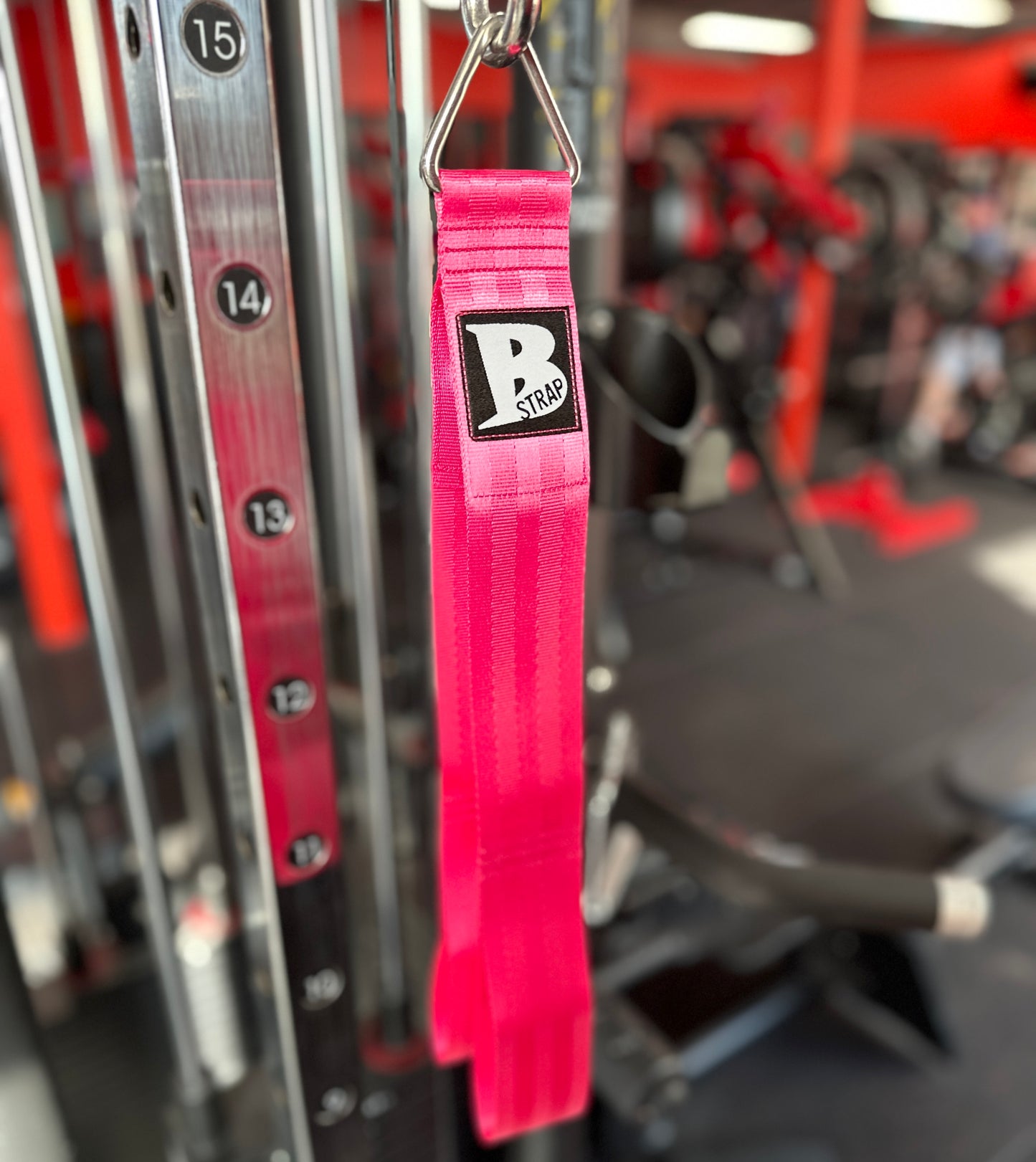 PRESALE SAKURA